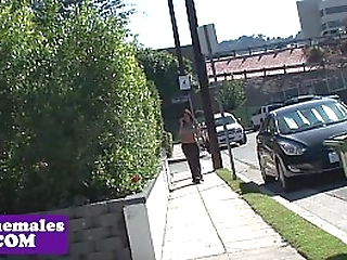 busty glam tranny assfucked after blowjob