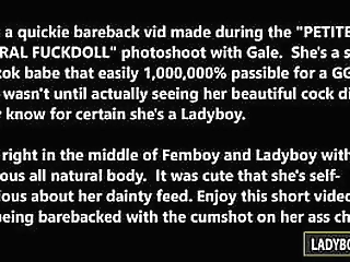 hot thai ladyboy gale anal fucking