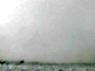 horny stud pablo montejo rides sexy tranny carla s shecock