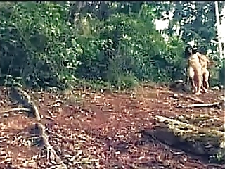 bianca and the forrest nymphs