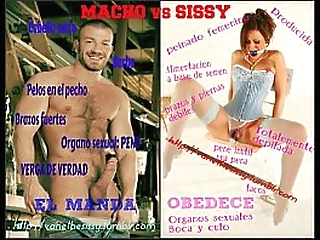 this tattooed hunk has the perfect cock for gorgeous ts negra