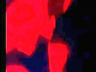 busty ebony trans applies oil on her big butt and gets ass banged