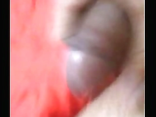 big boobs shemale fucking with horny white babe