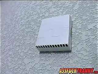 gorgeous tranny dayanne callegary gets drilled by hot stud