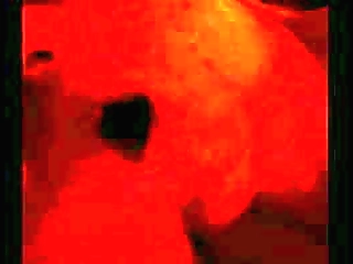 blonde shemale ellen silva sucking on a stiff dick