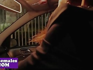 sami price and bella rossi collide in the ultimate sex fight championship