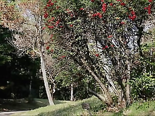 trans drika lima wears a slutwear and stuffs her hole with a dildo