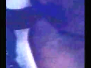 sweet latina shemale blowing off cock