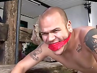 shemale fetish domination