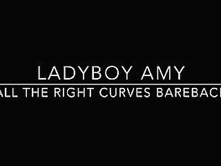 big ass ladyboy amy fucked bareback