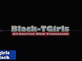 attractive nubian tranny sensually strips