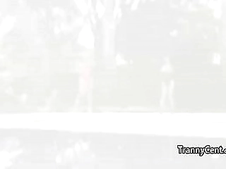 two dudes on two sexy shemales