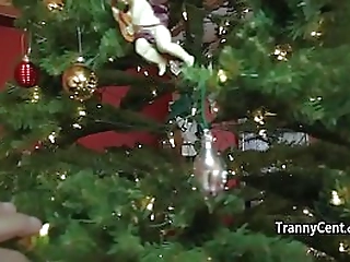 shemale beauty fucks for xmas