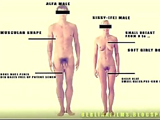 shemale with glasses rides big dick